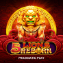 شعار 5 Lions Reborn