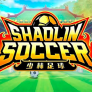 شعار Shaolin Soccer
