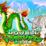 شعار Double Fortune