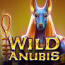 شعار Wild Anubis