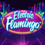 شعار Electric Flamingo
