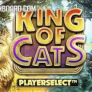 شعار King of Cats
