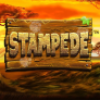 شعار Stampede