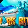 شعار Shark Bite