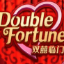 شعار Double Fortune