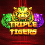 شعار Triple Tigers