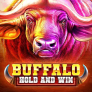 شعار Buffalo Hold and Win
