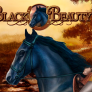 شعار Black Beauty