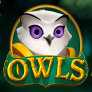 شعار Owls