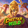 شعار Cheetah Wild