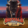 شعار Buffalo Goes Wild