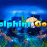 شعار Dolphins Gold