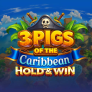 شعار 3 Pigs of the Caribbean