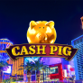 شعار Cash Pig