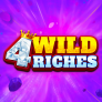شعار 4 Wild Riches