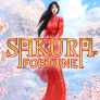 شعار Sakura Fortune