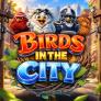 شعار Birds in The City