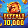 شعار Buffalo Hold and Win Extreme 10000
