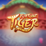 شعار Fortune Tiger