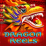 شعار Dragon Reels