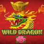 شعار Wild Dragon