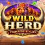 شعار Wild Herd Stampede Stacks