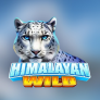 شعار Himalayan Wild