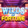 شعار Wilds of Fortune