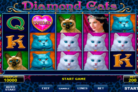 diamond cats amatic آلة السلوت 