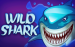 logo wild shark amatic 